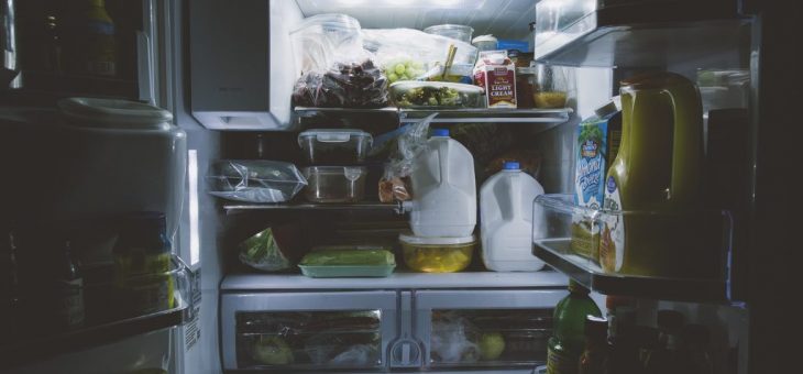 The Secret Life of the Refrigerator